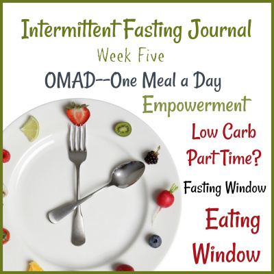 Donnas Intermittent Fasting Journal