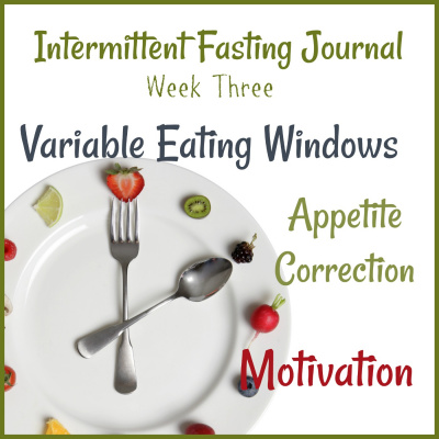 Donnas Intermittent Fasting Journal