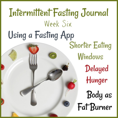 Donnas Intermittent Fasting Journal