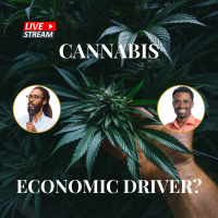 Cannabis - Economic Driver for Jamaica?
