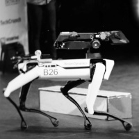 El perro robot ha sido liberado.