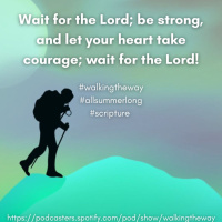 Walking the Way 10th March 2025 - Summers long