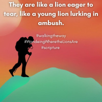 Walking the Way 24th February 2025 - Wondering Where the Lions Are