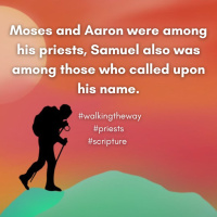 Walking the Way 24th June 2025 - We are priests
