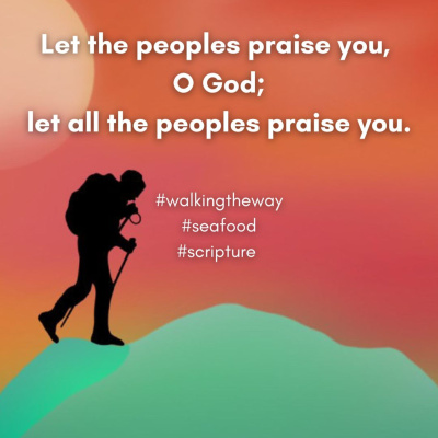Walking The Way: A Daily Prayer Walk