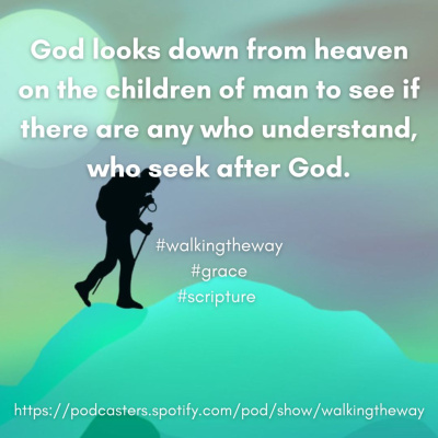 Walking The Way: A Daily Prayer Walk