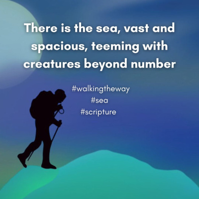 Walking The Way: A Daily Prayer Walk