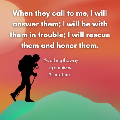 Walking The Way: A Daily Prayer Walk
