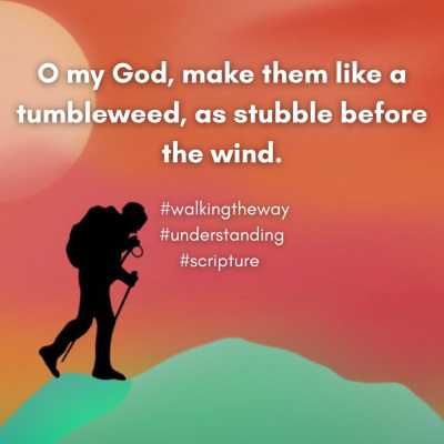 Walking The Way: A Daily Prayer Walk