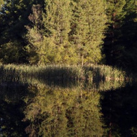 Typing my weekly fishing report