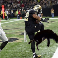 ASC Episode 3: Mark Ingram Eaten By Army Dog | Free Agency | Draft