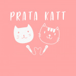 Prata Katt