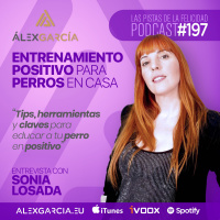 Entrenamiento positivo para perros en casa