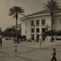 לרדת מן הגג או המשפט