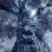 Stay Away From the Tree