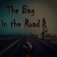 Bag in the Road
