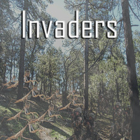 Invaders