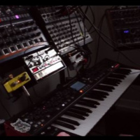 Arboreal Squid PEG Bedroom Producer Festival 2022