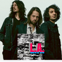 “THE VELVICKS” The Phantom Electric Ghost Interview