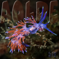 Al Otro Lado del Espejo#518-22-10-22