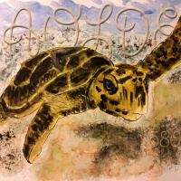 Al Otro Lado del Espejo#580-30-12-23