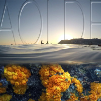 Al Otro Lado del Espejo#517-15-10-22