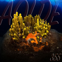Al Otro Lado del Espejo #355-07-09-19