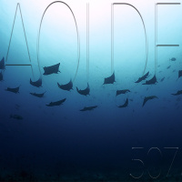 Al Otro Lado del Espejo#507-06-08-22