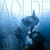 Al Otro Lado del Espejo #363-02-11-19