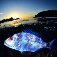 Al Otro Lado del Espejo#571-28-10-23