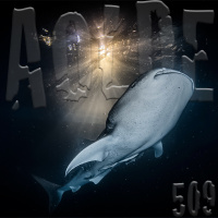 Al Otro Lado del Espejo#509-20-08-22