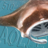 Al Otro Lado del Espejo#510-27-08-22