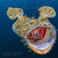 Al Otro Lado del Espejo #466-23-10-21