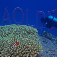 Al Otro Lado del Espejo#582-13-01-24