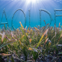 Al Otro Lado del Espejo#504-16-07-22