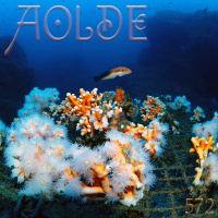 Al Otro Lado del Espejo#572-04-11-23