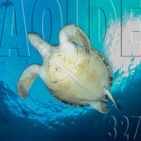 Al Otro Lado del Espejo #327-16-02-19