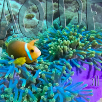 Al Otro Lado del Espejo#511-03-09-22