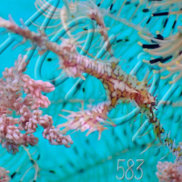 Al Otro Lado del Espejo#583-20-01-24