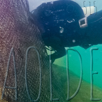 Al Otro Lado del Espejo#515-01-10-22