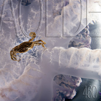 Al Otro Lado del Espejo #460-11-09-21
