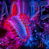 Al Otro Lado del Espejo#520-05-11-22