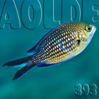 Al Otro Lado del Espejo #393-30-05-20
