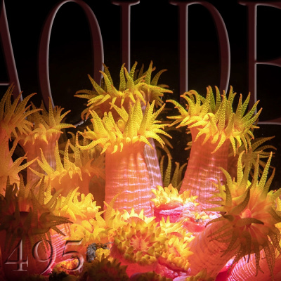 Podcast Al Otro Lado Del Espejo