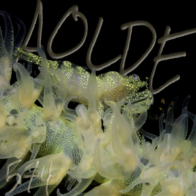 Podcast Al Otro Lado Del Espejo