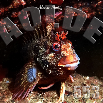 Podcast Al Otro Lado Del Espejo