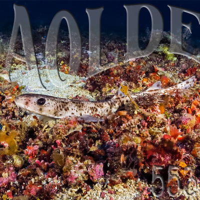 Podcast Al Otro Lado Del Espejo