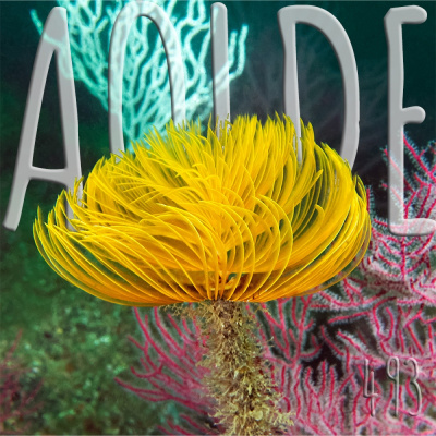 Podcast Al Otro Lado Del Espejo