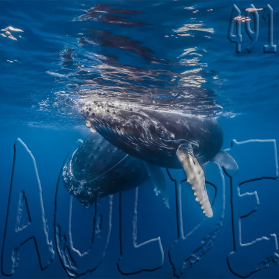 Podcast Al Otro Lado Del Espejo