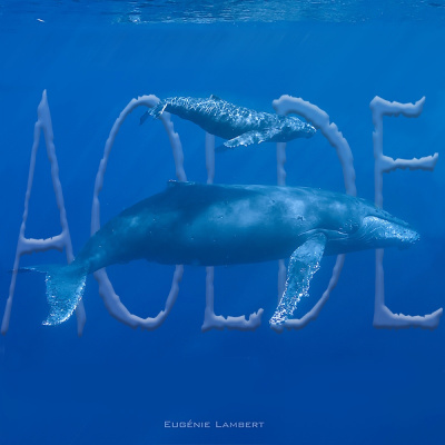 Podcast Al Otro Lado Del Espejo